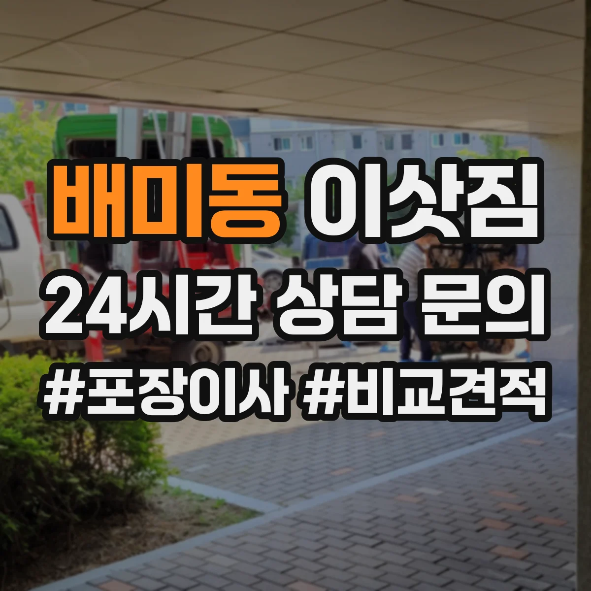 배미동 이삿짐