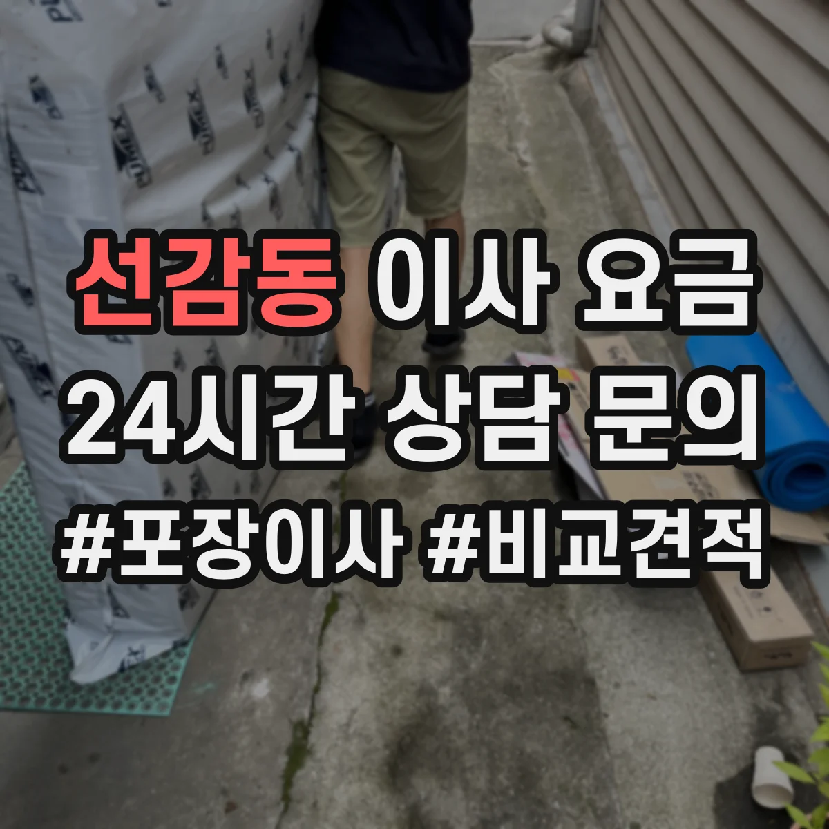 선감동 이사 요금