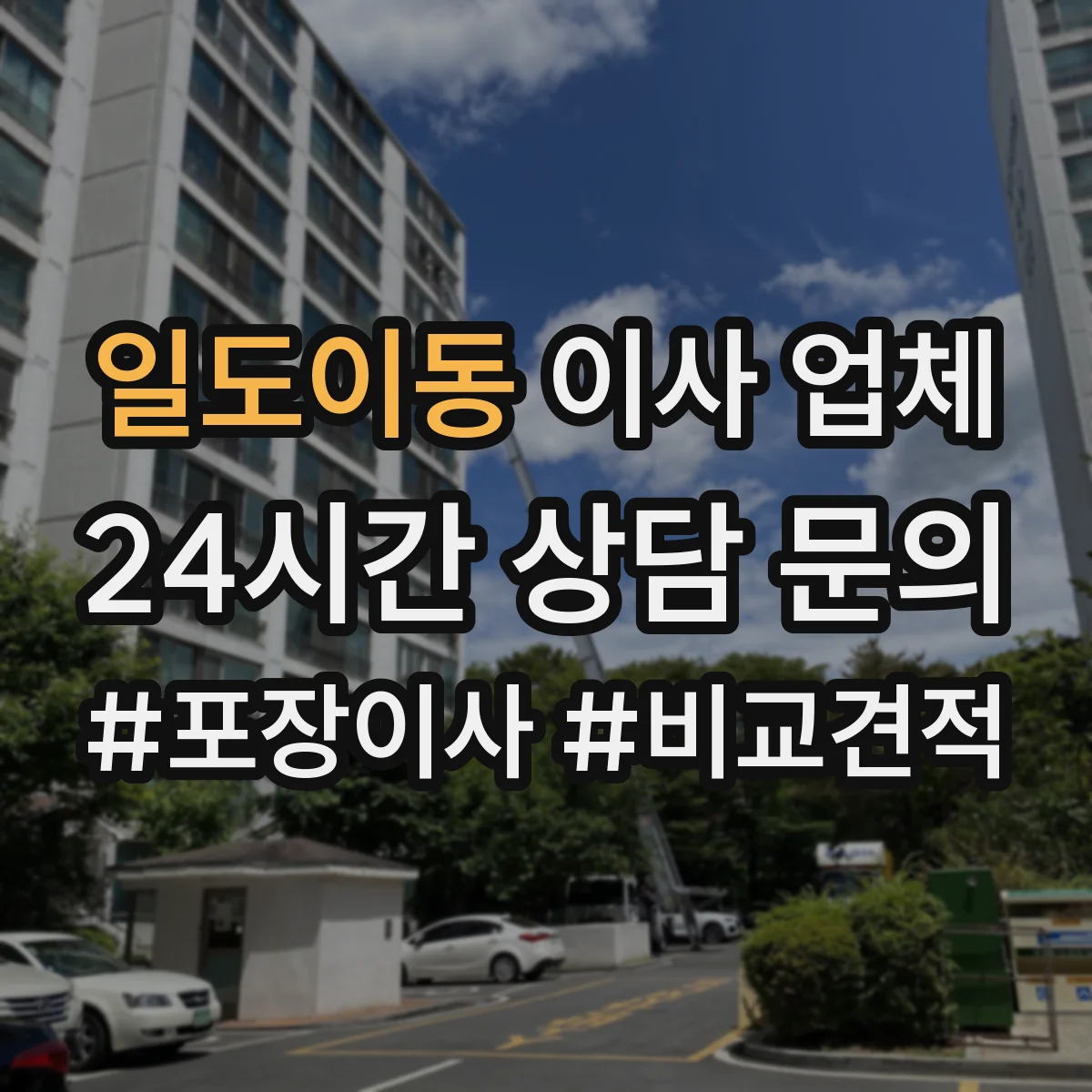 일도이동 이사 업체