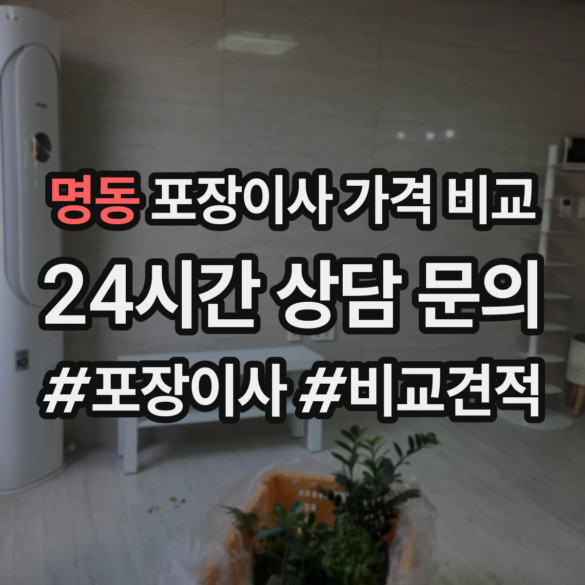 명동 포장이사 가격 비교
