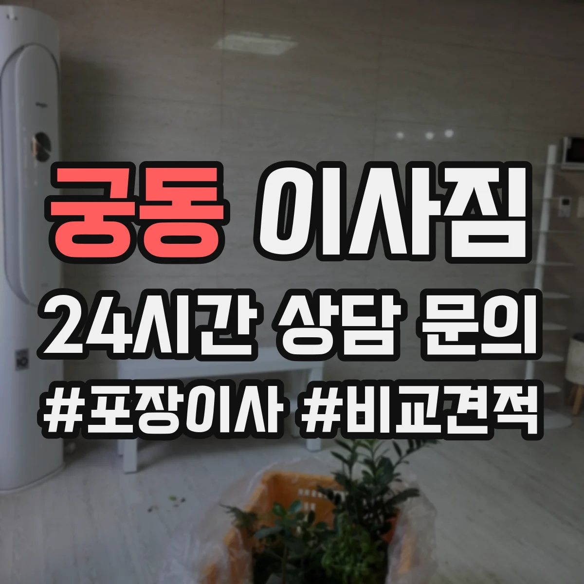 궁동 이사짐