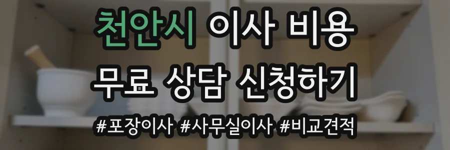천안시 이사 비용