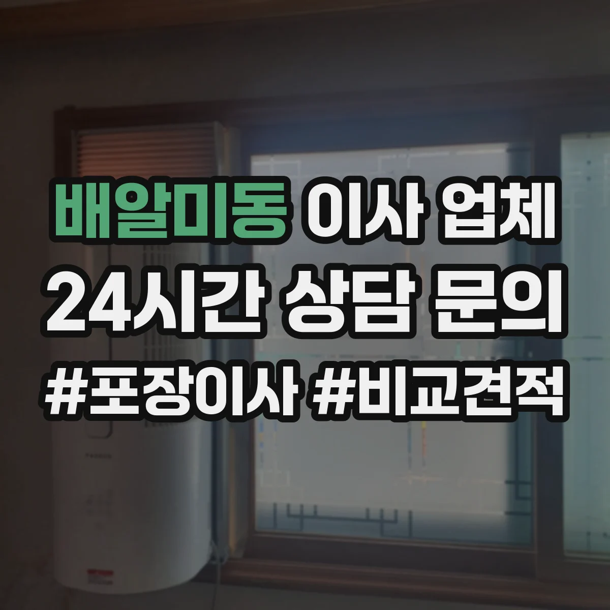 배알미동 이사 업체