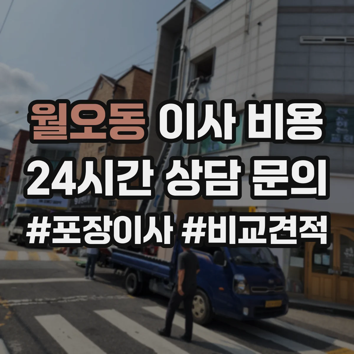 월오동 이사 비용