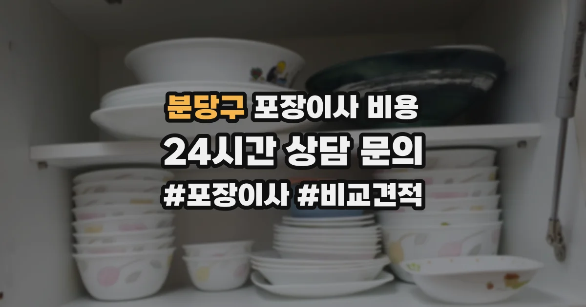 분당구 포장이사 비용