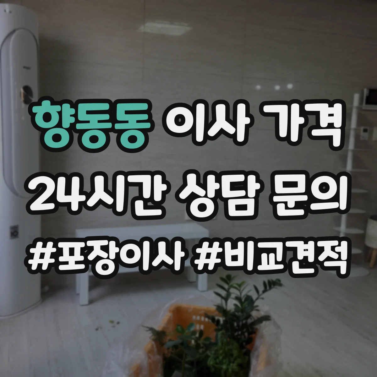 향동동 이사 가격