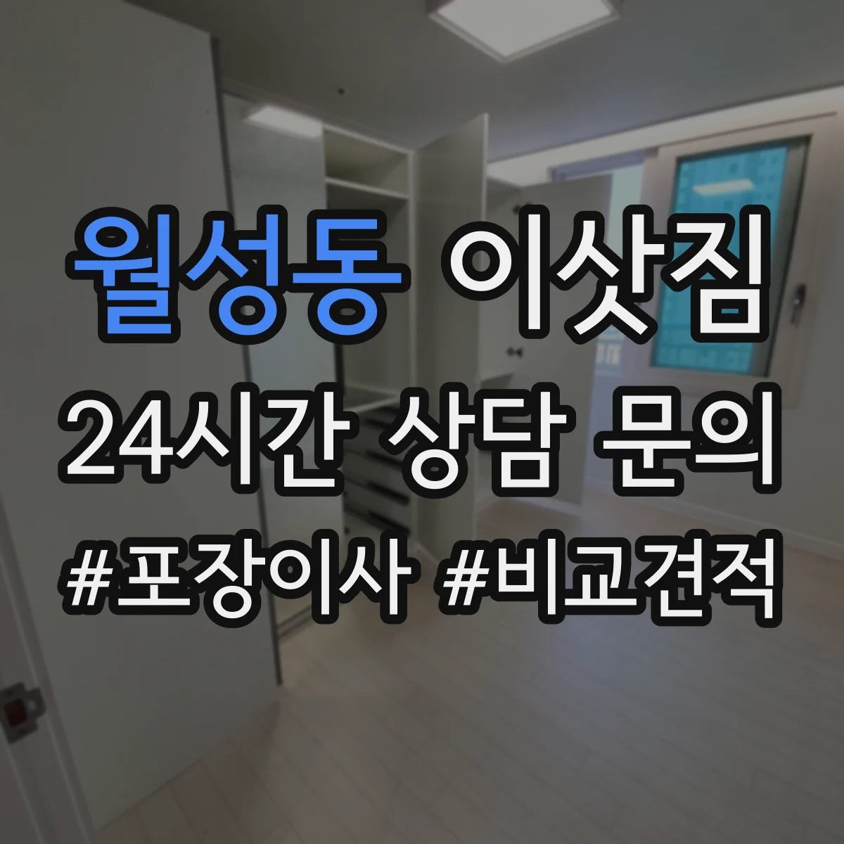 월성동 이삿짐