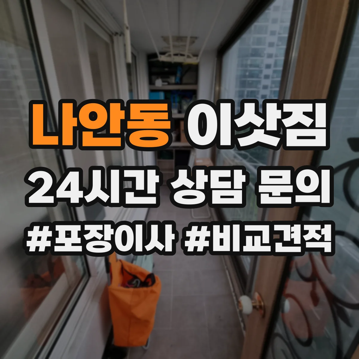 나안동 이삿짐