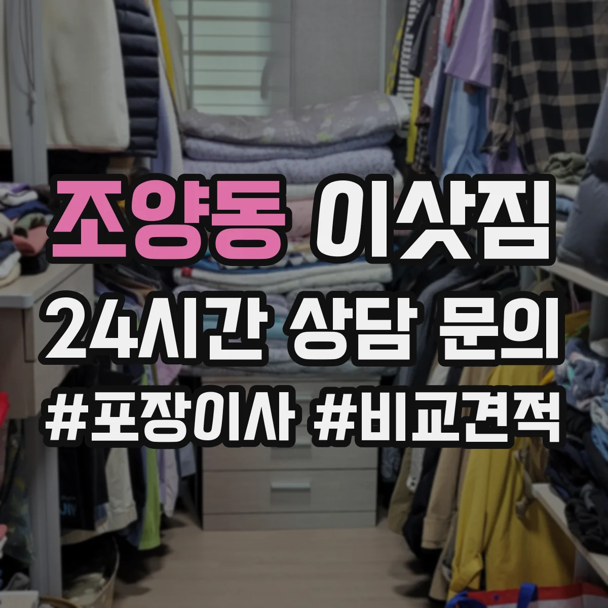 조양동 이삿짐