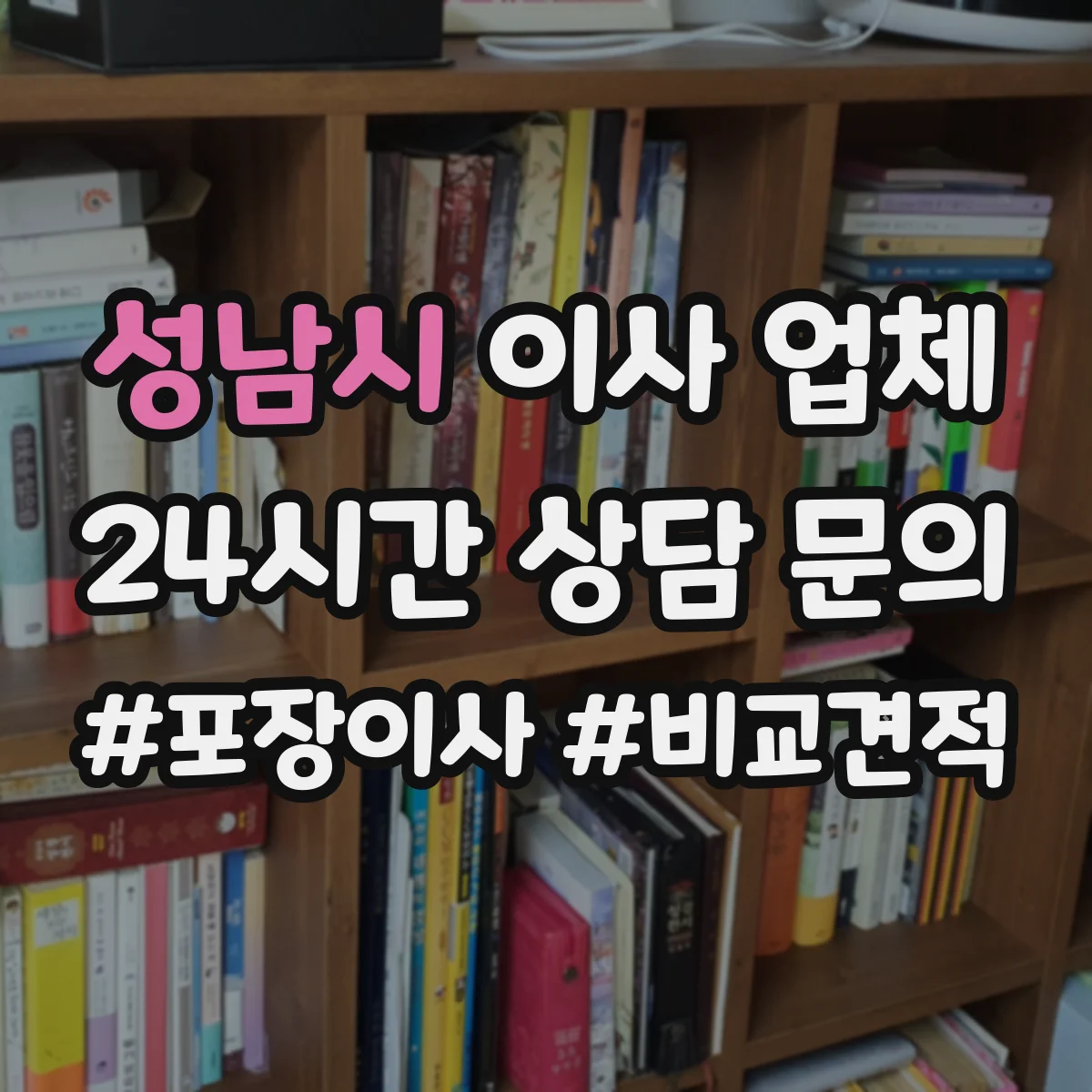 성남시 이사 업체