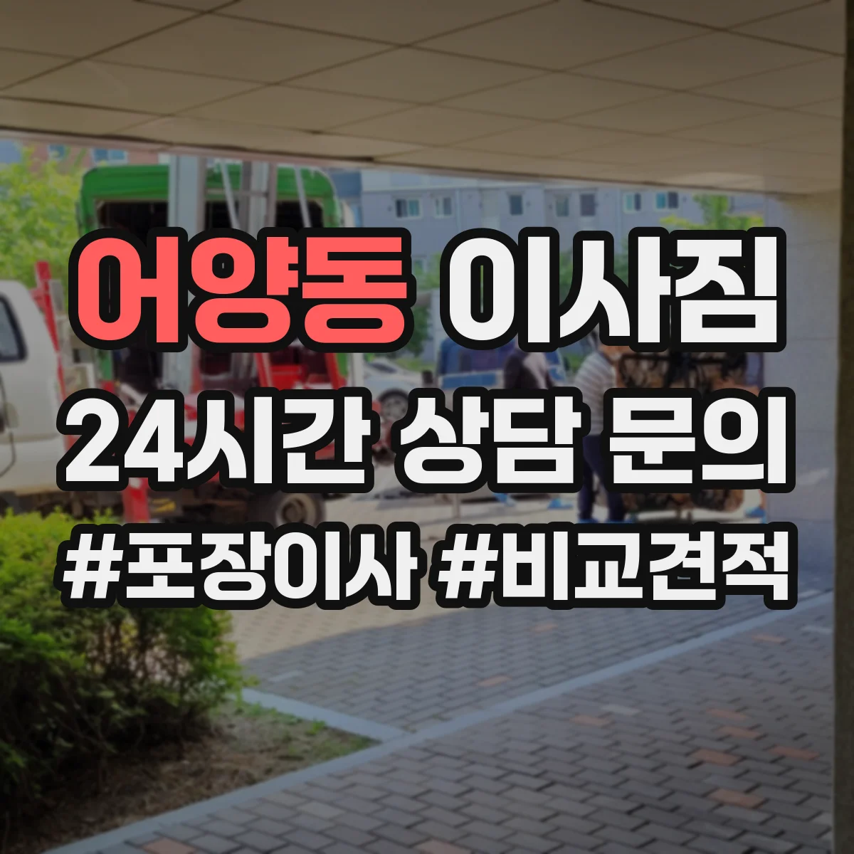 어양동 이사짐