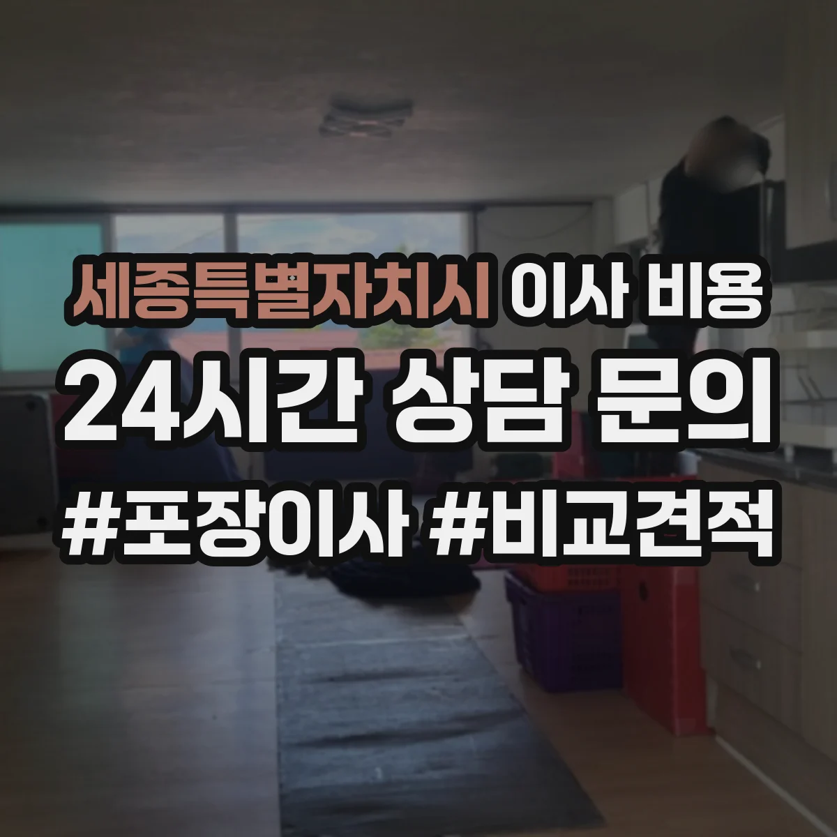 세종특별자치시 이사 비용