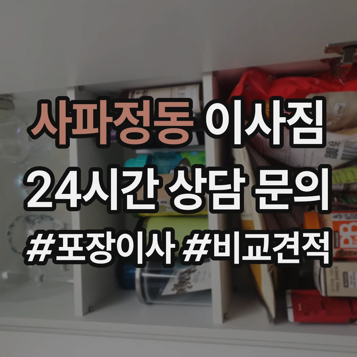 사파정동 이사짐