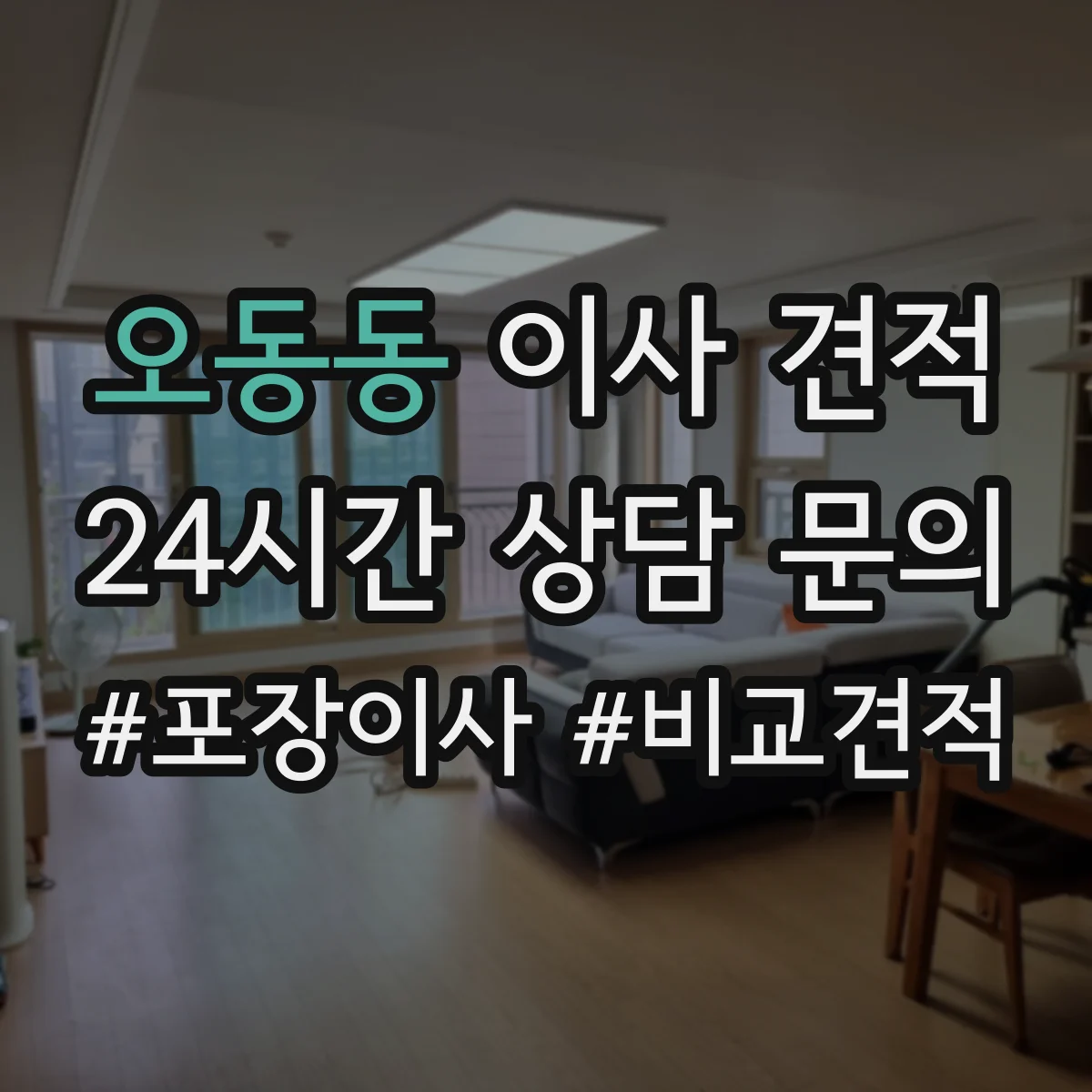 오동동 이사 견적