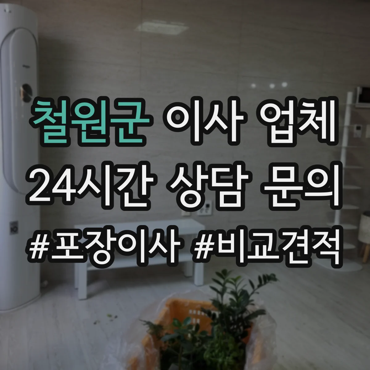 철원군 이사 업체