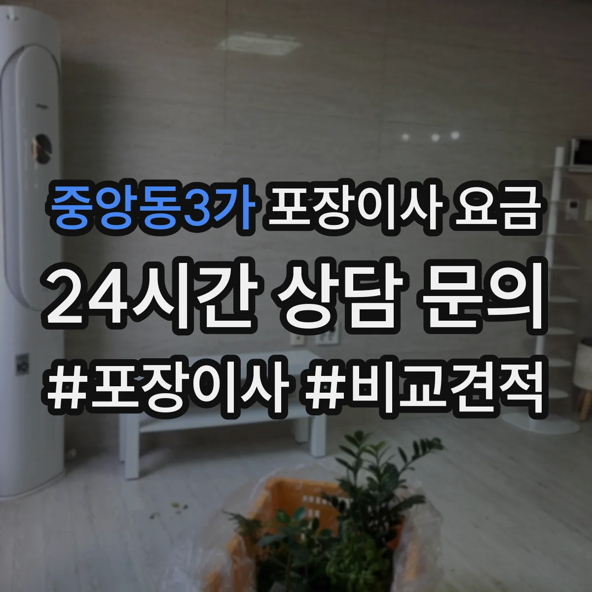 중앙동3가 포장이사 요금