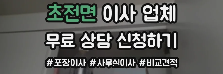 초전면 이사 업체
