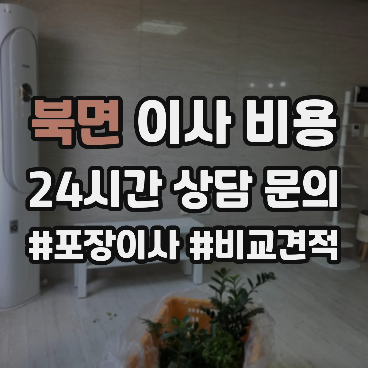 북면 이사 비용