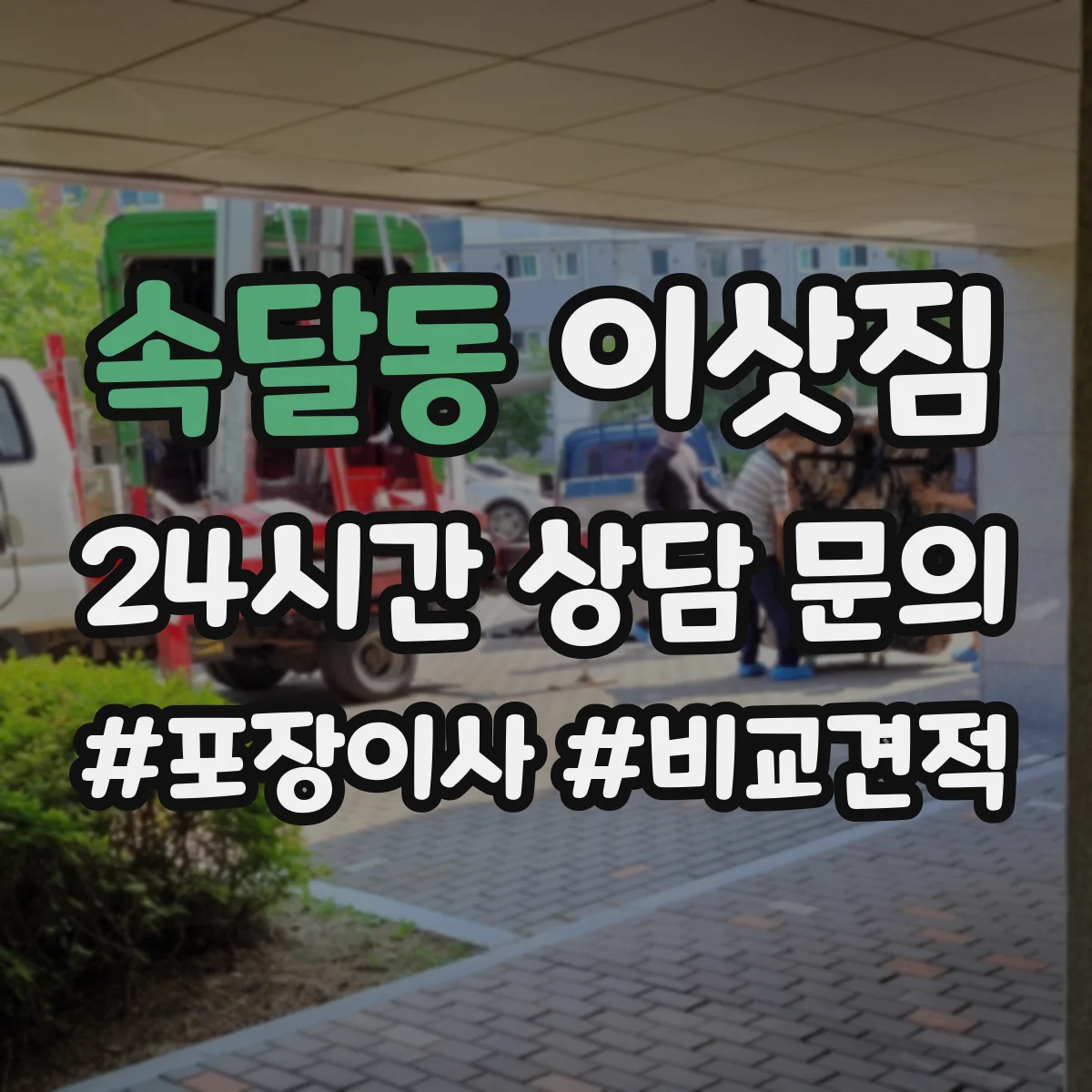 속달동 이삿짐