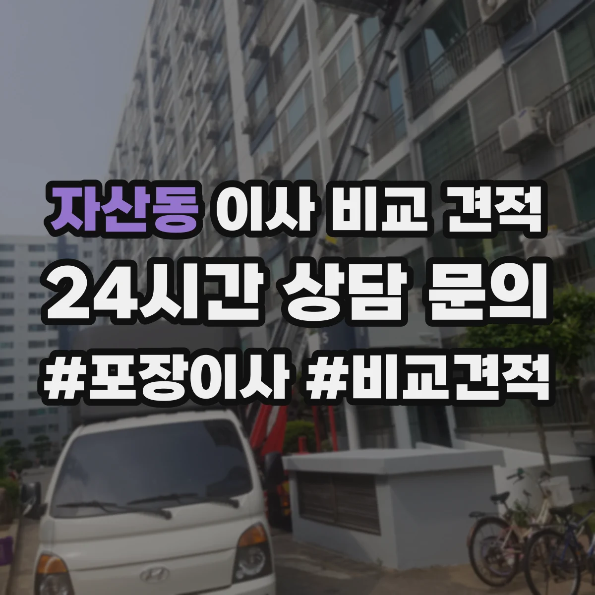 자산동 이사 비교 견적