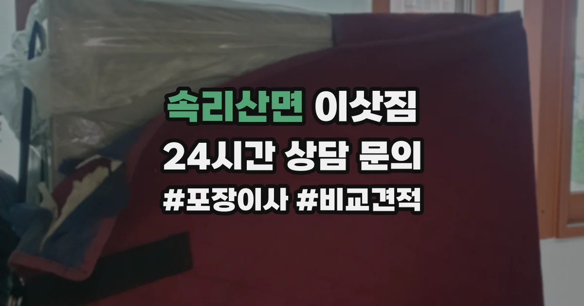 속리산면 이삿짐