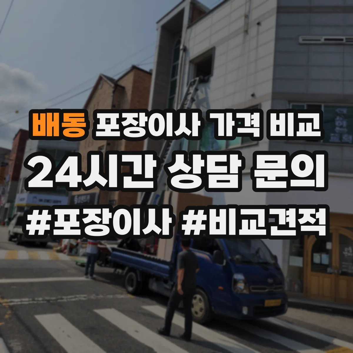 배동 포장이사 가격 비교