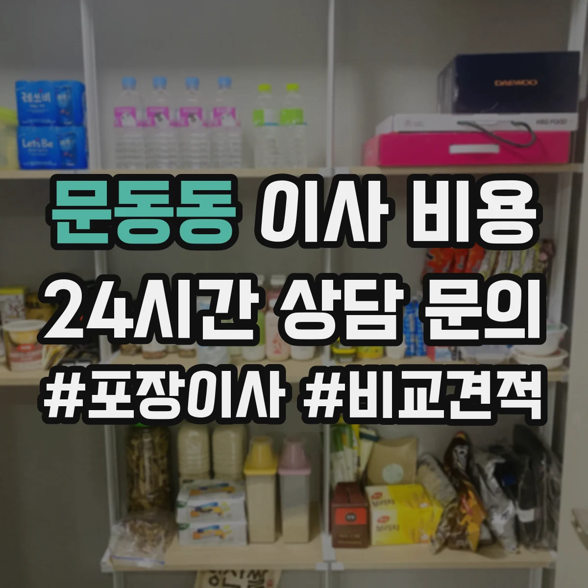 문동동 이사 비용