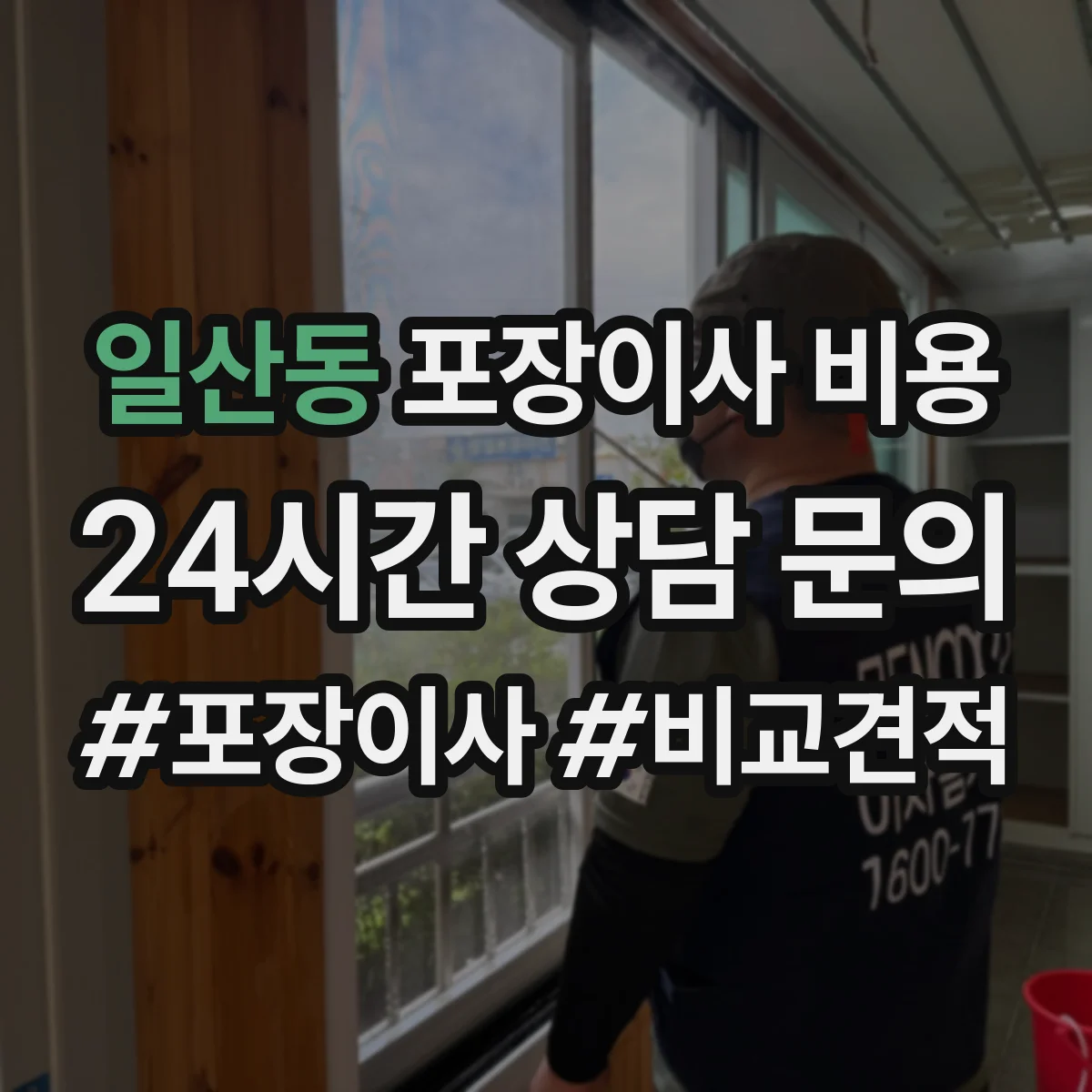 일산동 포장이사 비용