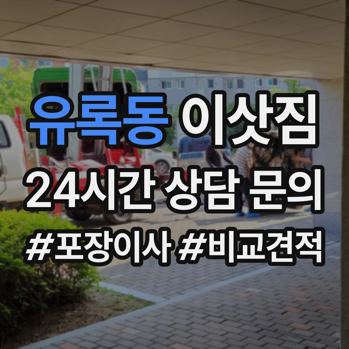 유록동 이삿짐