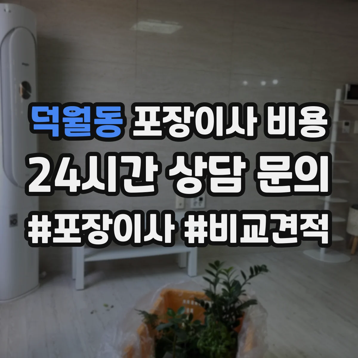 덕월동 포장이사 비용