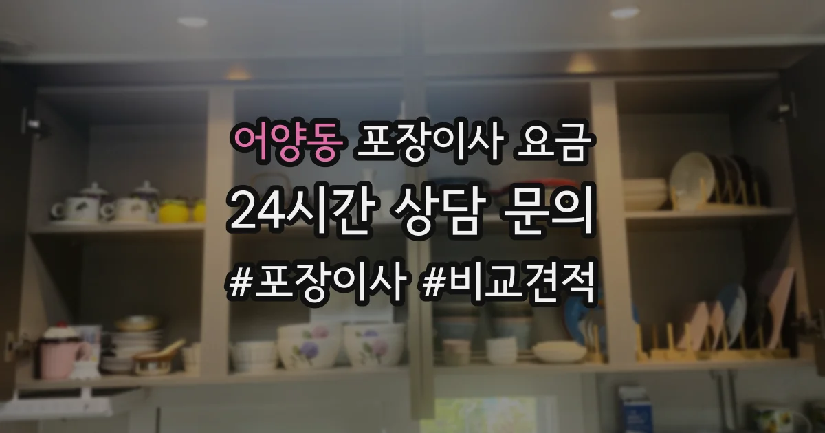 어양동 포장이사 요금