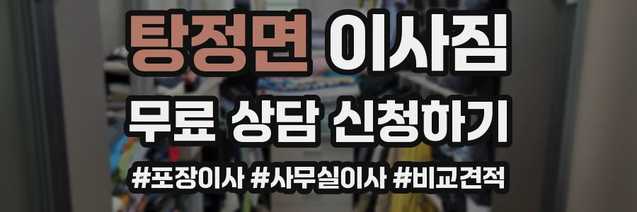 탕정면 이사짐