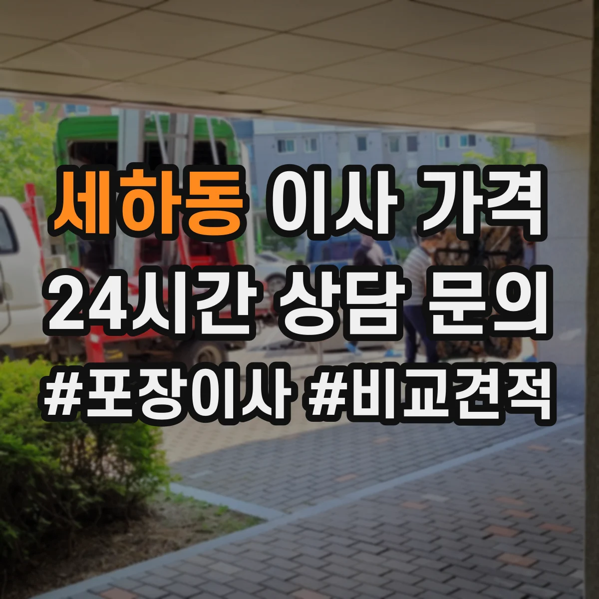 세하동 이사 가격