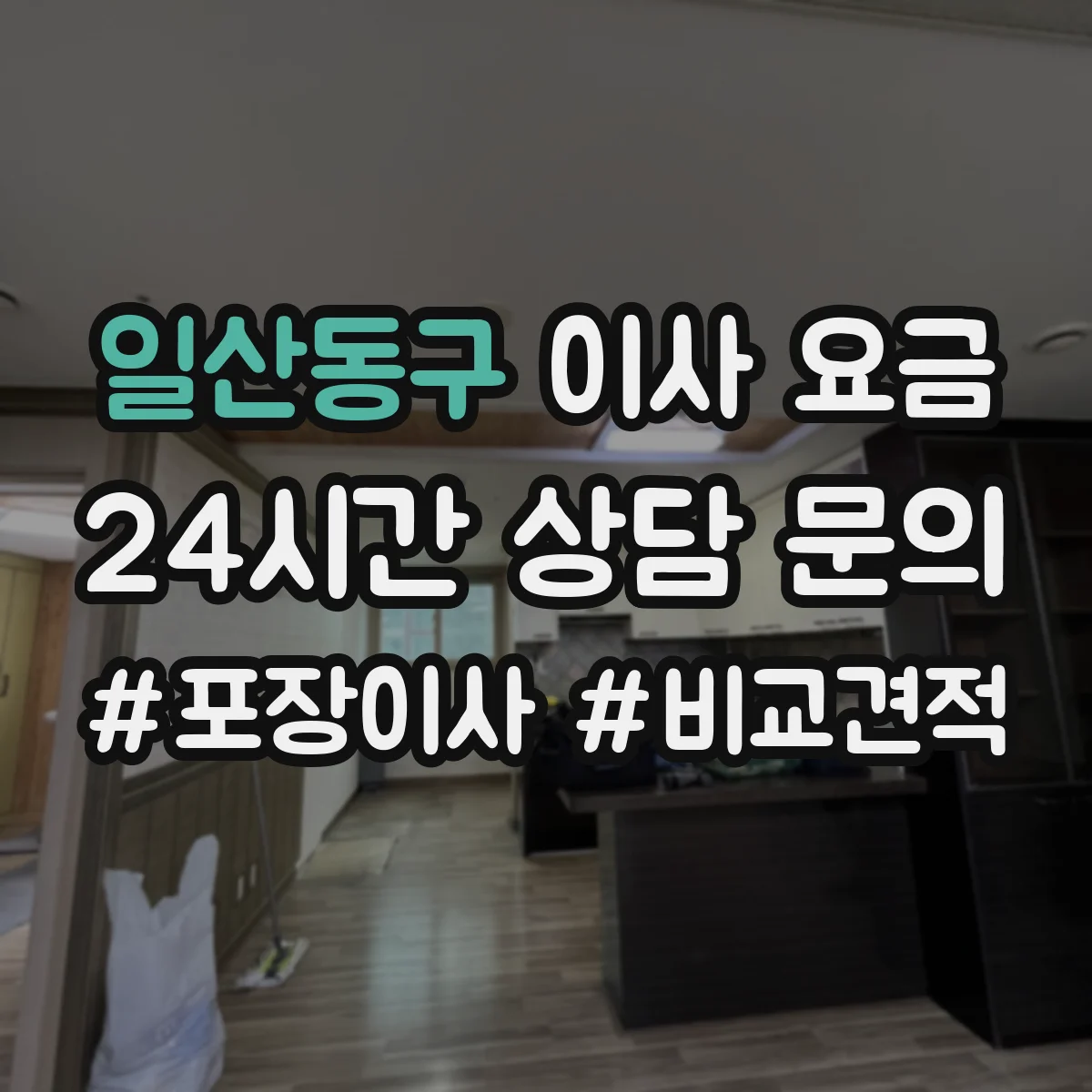 일산동구 이사 요금