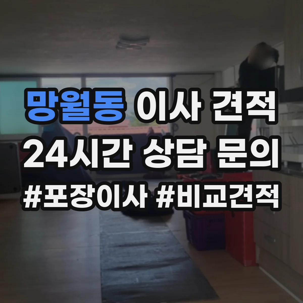 망월동 이사 견적