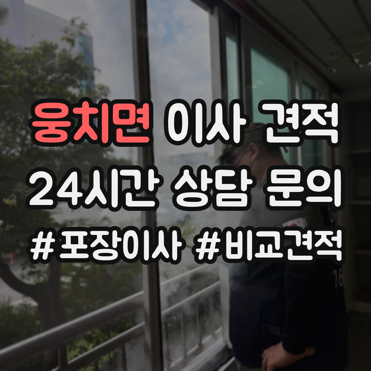 웅치면 이사 견적