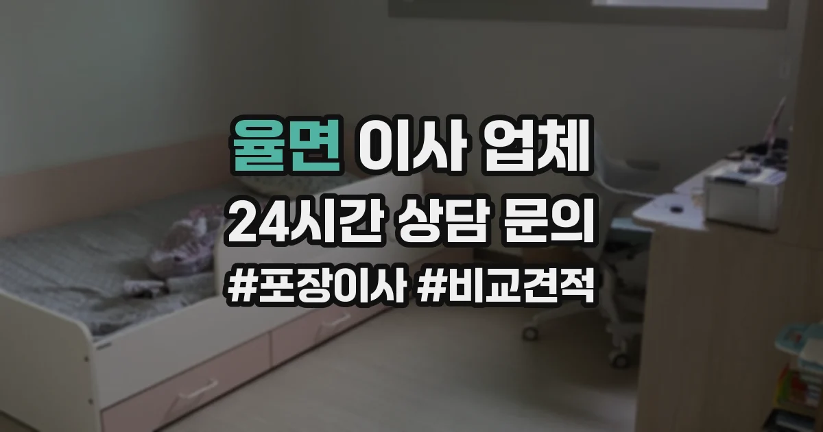 율면 이사 업체