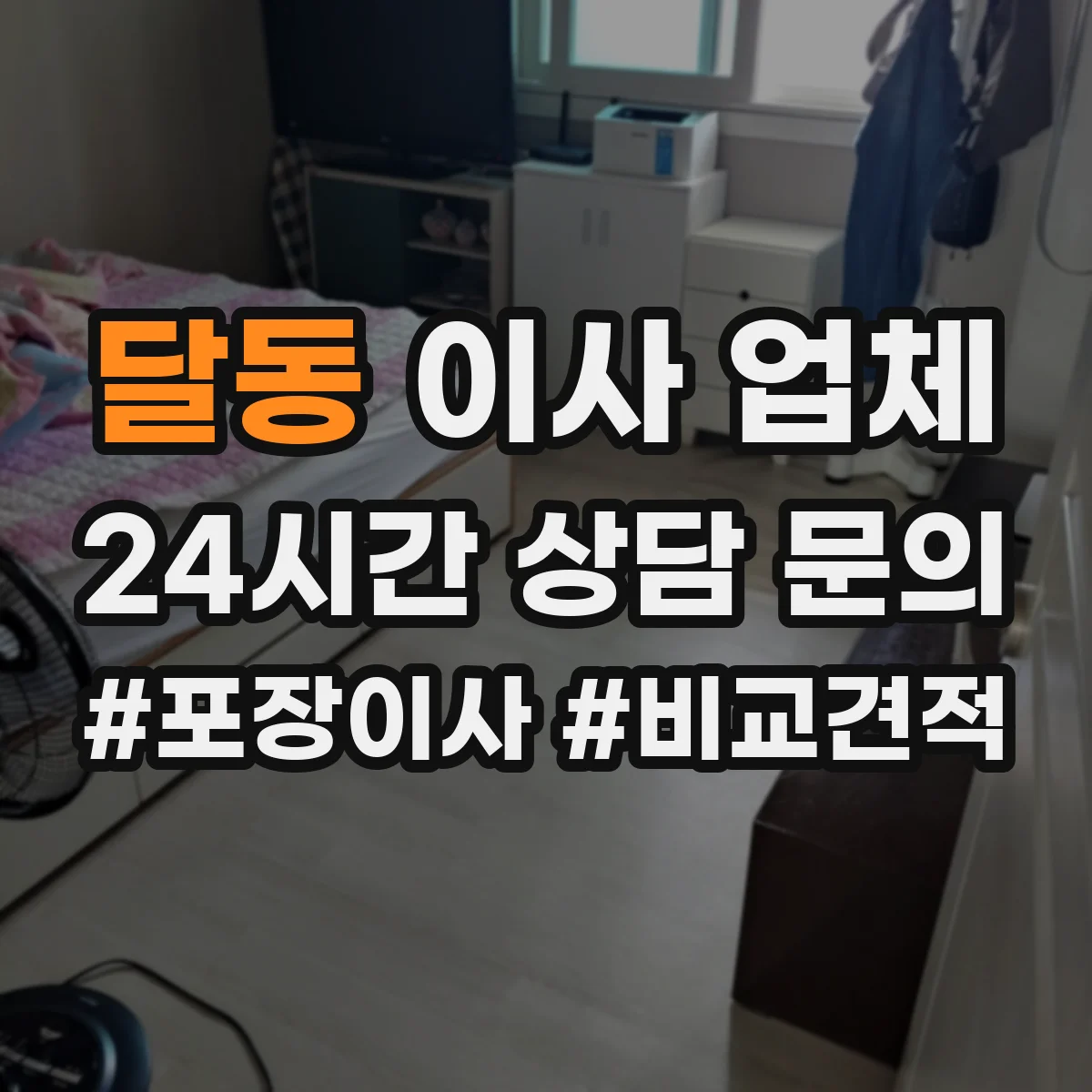 달동 이사 업체