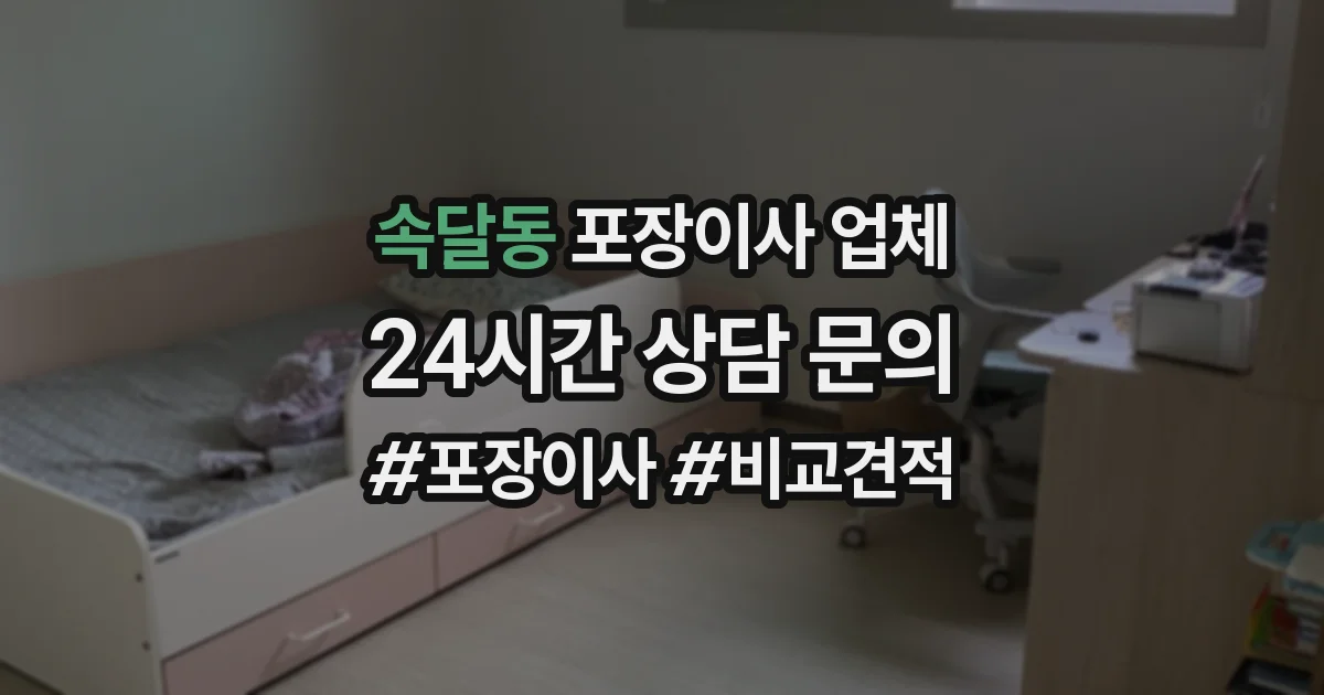 속달동 포장이사 업체