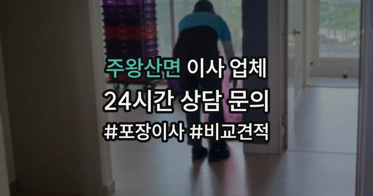 주왕산면 이사 업체
