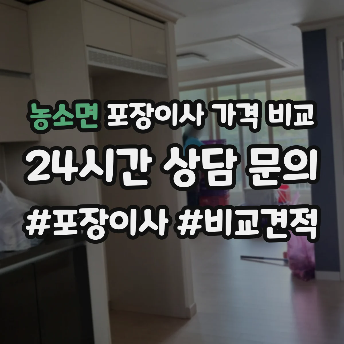 농소면 포장이사 가격 비교