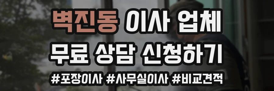 벽진동 이사 업체