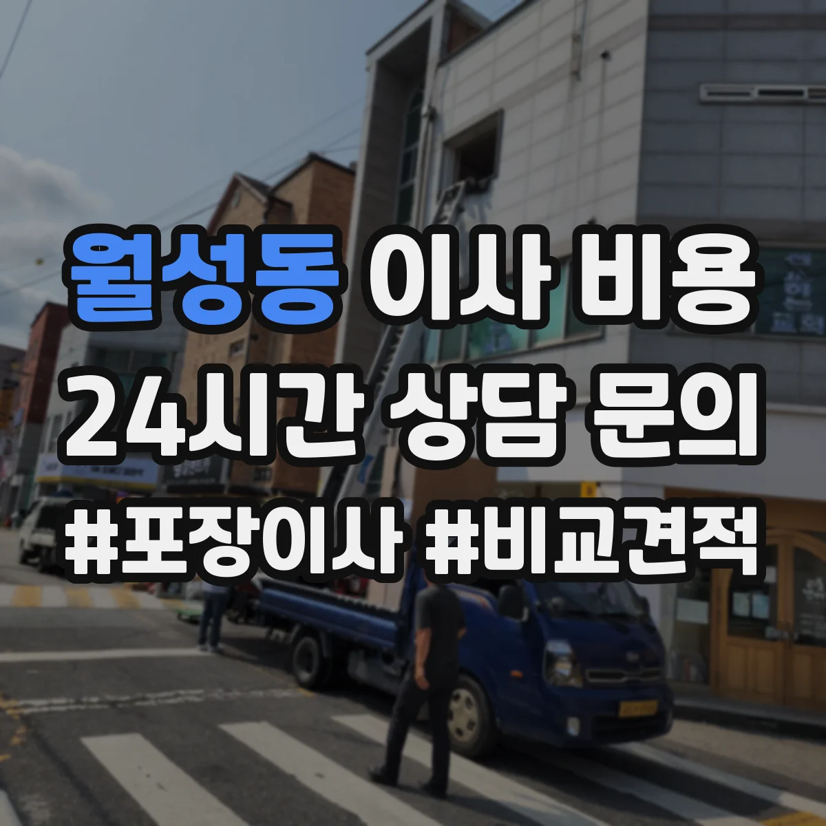 월성동 이사 비용
