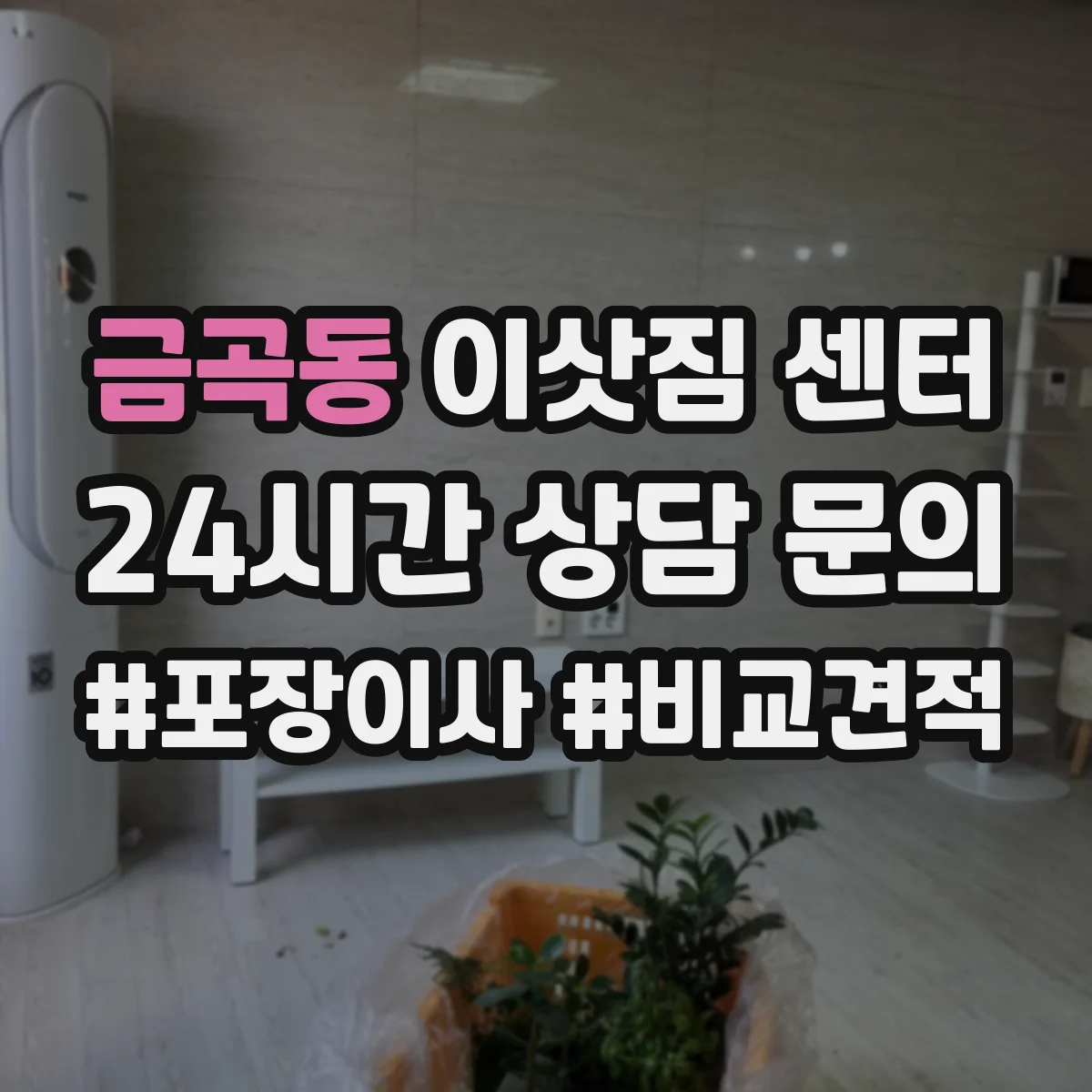 금곡동 이삿짐 센터