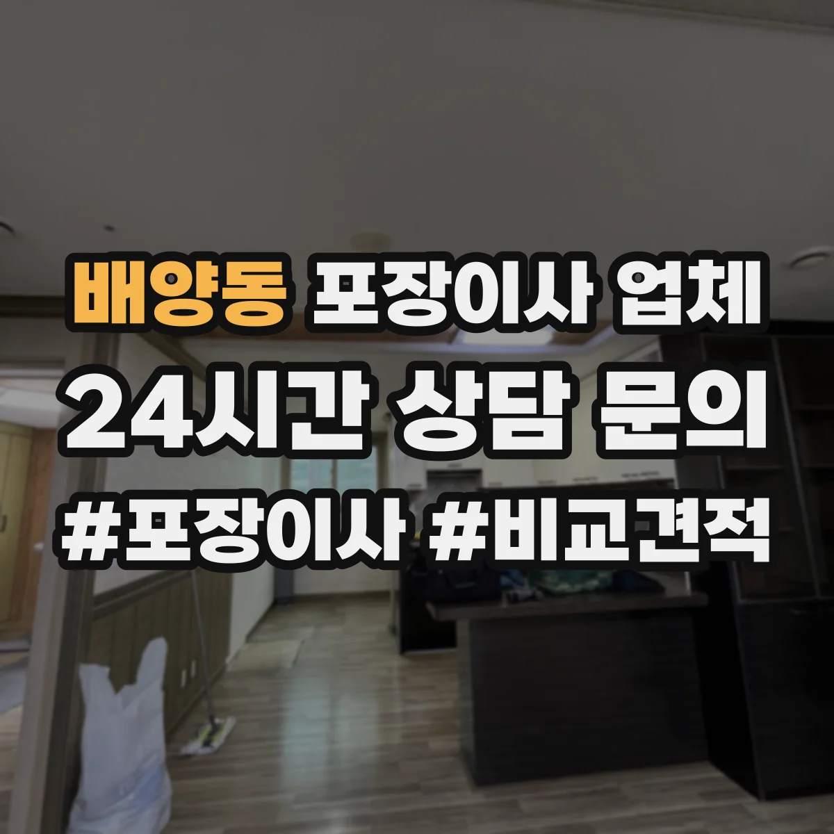 배양동 포장이사 업체