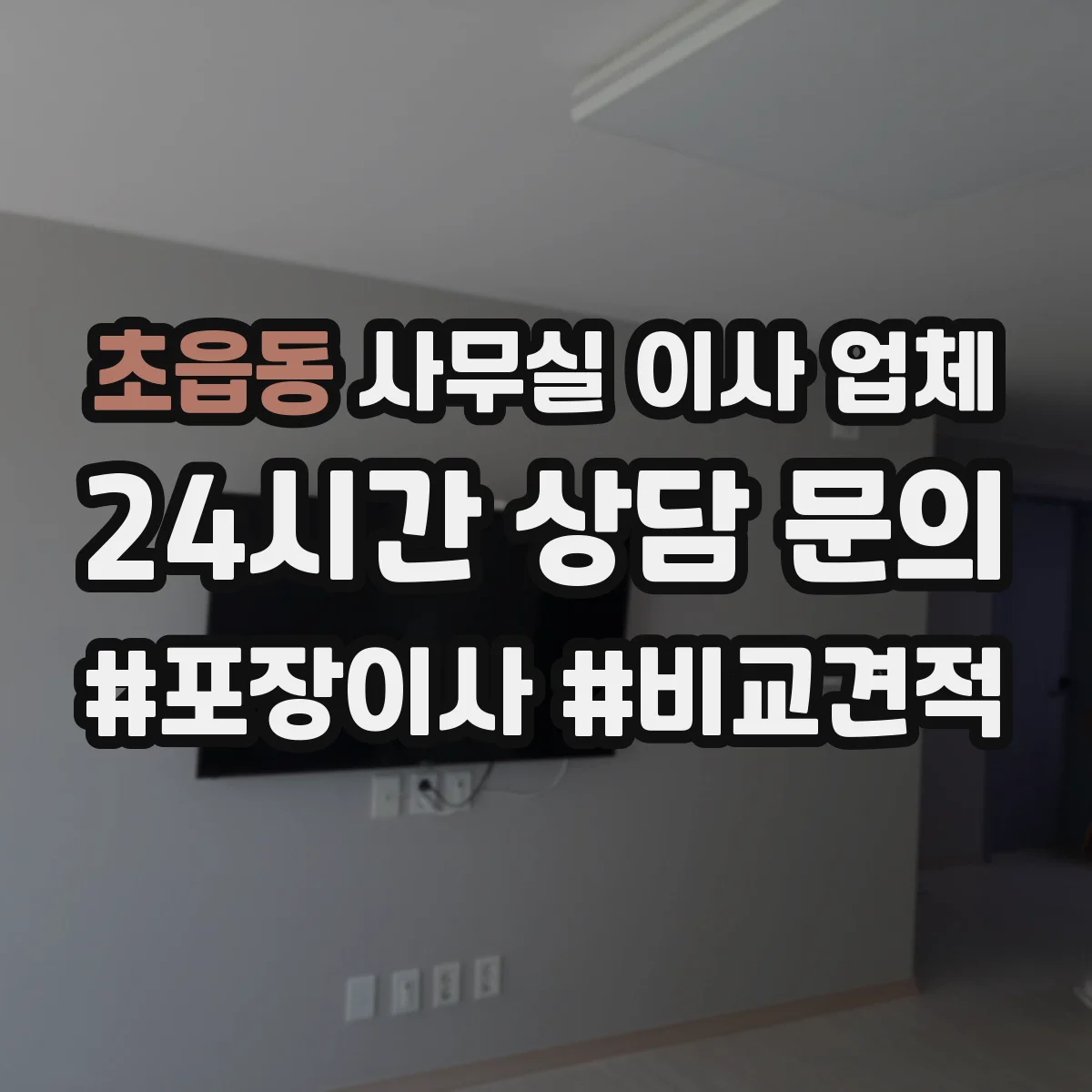 초읍동 사무실 이사 업체 IT장비 이동 동선 최적화로 중단 최소화