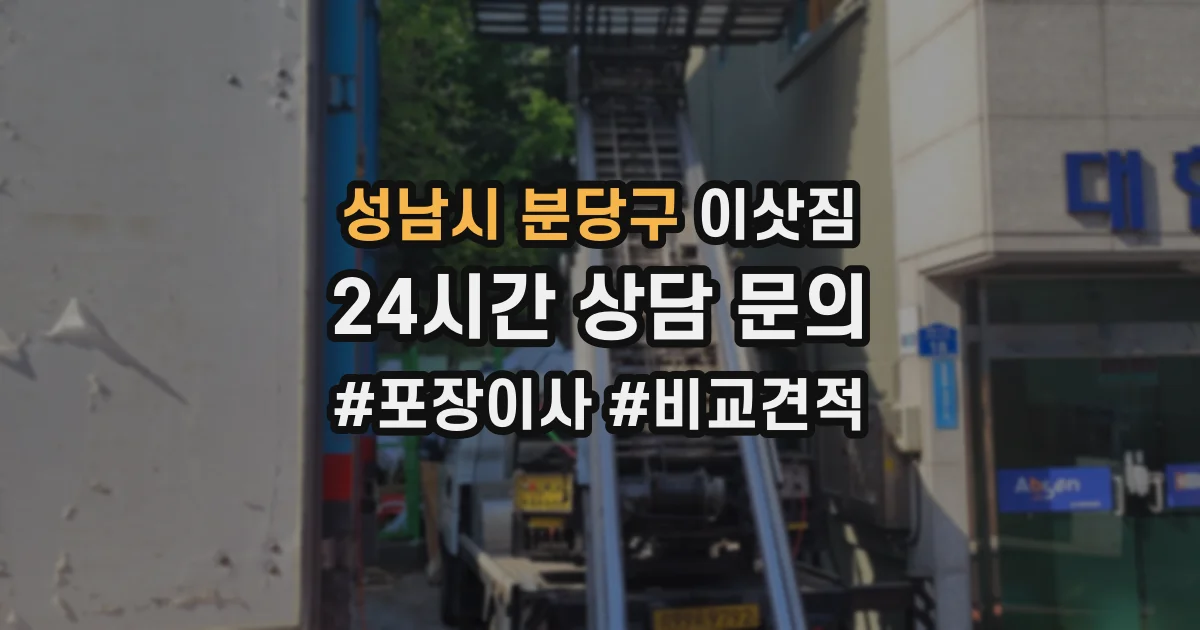 성남시 분당구 이삿짐