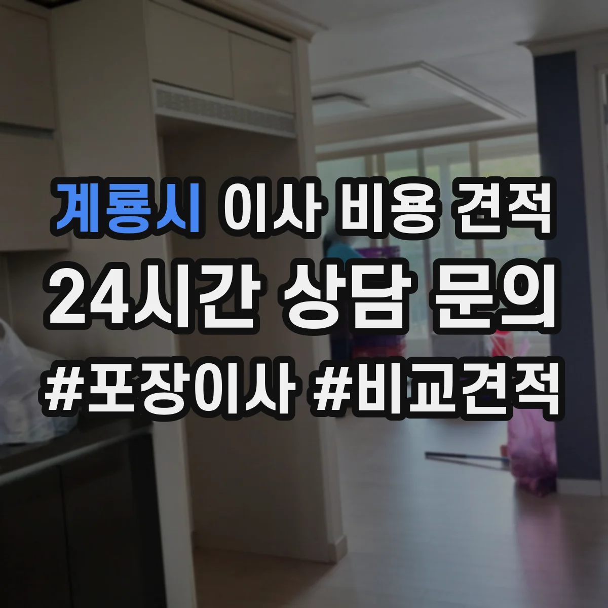 계룡시 이사 비용 견적