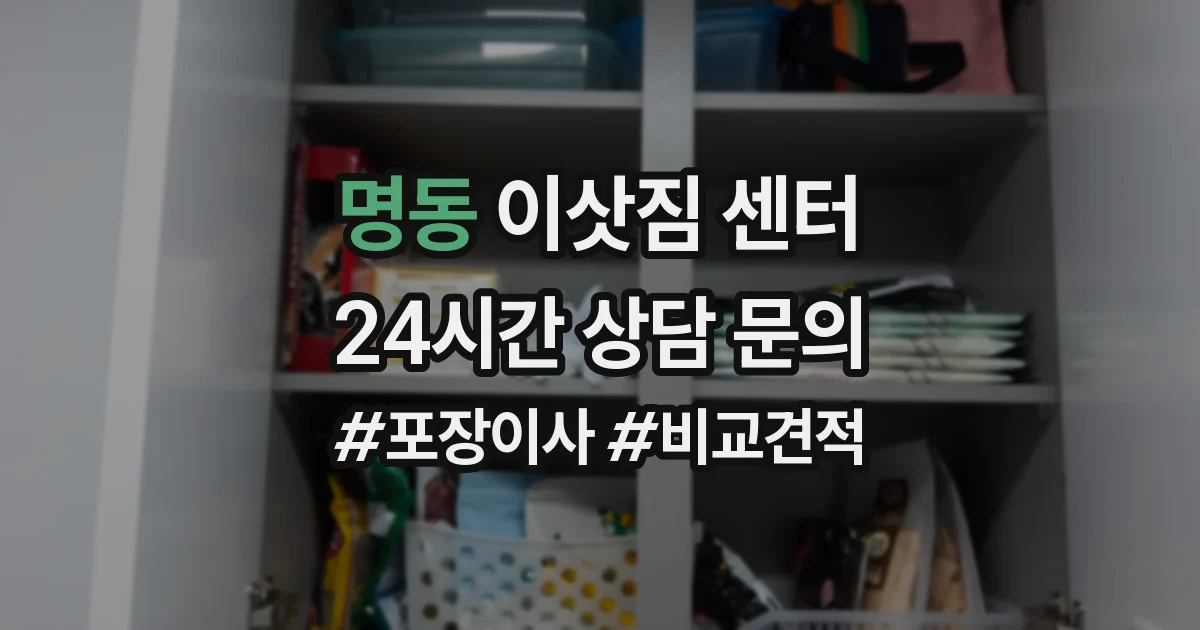 명동 이삿짐 센터
