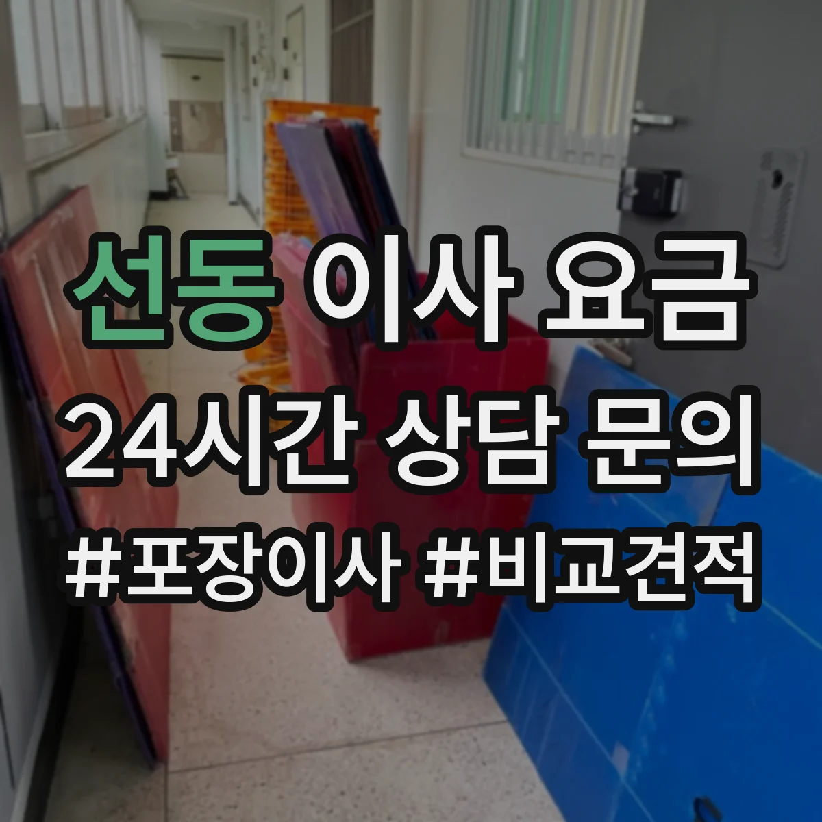 선동 이사 요금